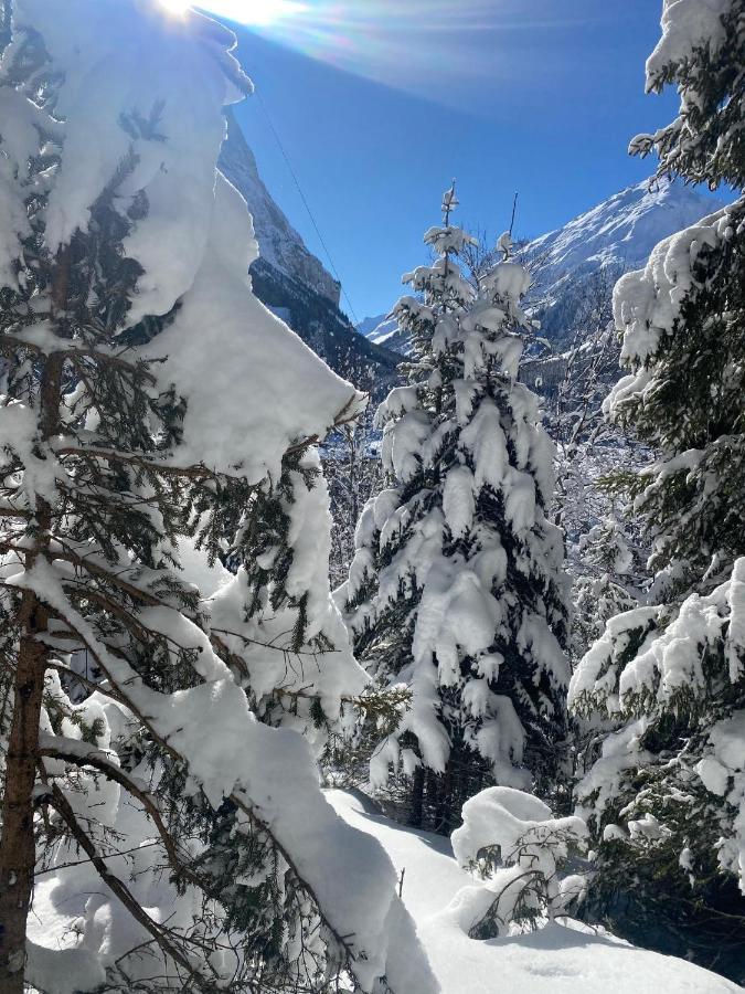 Hotel L'Edelweiss Pralognan-la-Vanoise Buitenkant foto